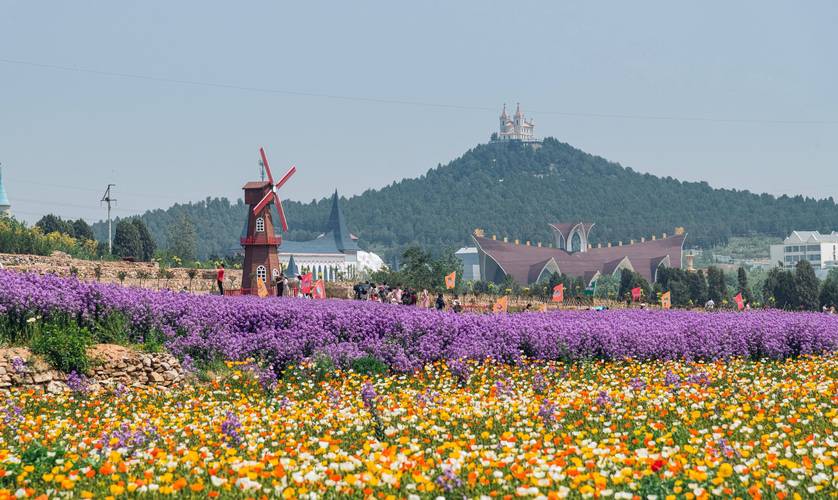 濟(jì)南的浪漫藏不住啦！就在賽石玫瑰園，千畝花海震撼登場(chǎng)