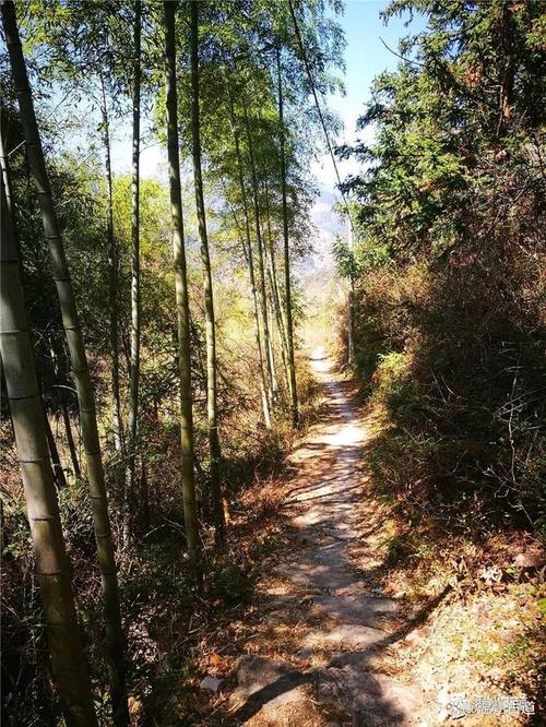 浙江深山里的秘境之路，三市交界的鹽幫古道