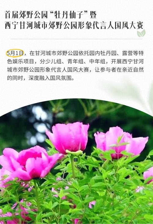 五一期間，西寧有這些“大動作”