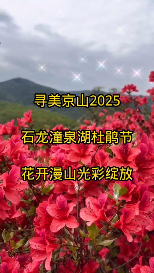 走進紅色旺蒼·探賞千年杜鵑！2025文化旅游消費季活動預告火熱來襲！