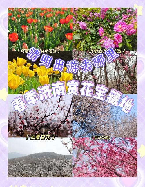 @濟(jì)南人，別等了！已進(jìn)入最佳觀賞期！快來邂逅一場暮春的浪漫~