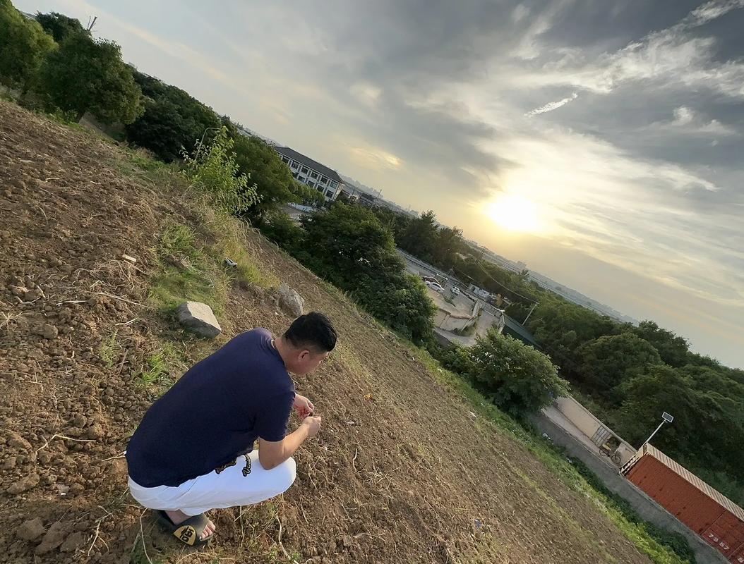 挖野菜莫“上頭”高速公路忌亂走