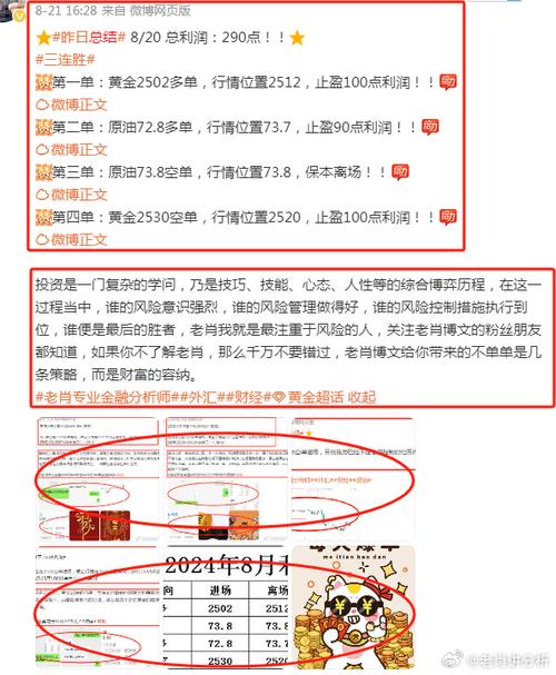 澳門管家婆100%精準(zhǔn)-全面釋義、專家解釋與落實與警惕虛假宣傳