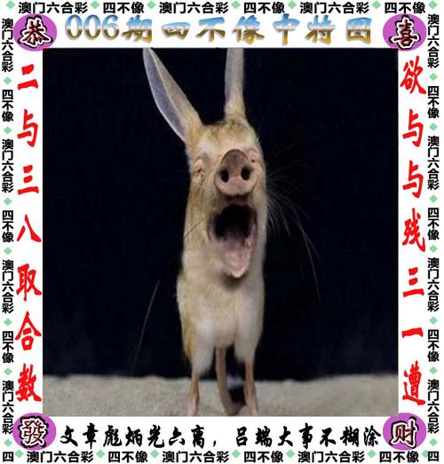 澳門一碼一肖一待一中四不像武夷山-精選釋義、解釋與落實與警惕虛假宣傳