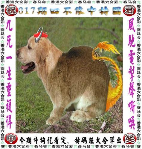 王中王免費(fèi)資料大全料大全一一王-全面釋義、解釋與落實(shí)與警惕虛假宣傳