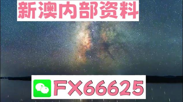 2005新澳正版免費大全,全面釋義、專家解釋與落實與警惕虛假宣傳