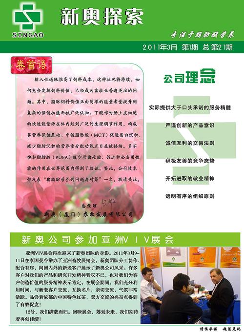 2025新澳精準(zhǔn)正版免費(fèi),精選釋義、解釋與落實(shí)與警惕虛假宣傳