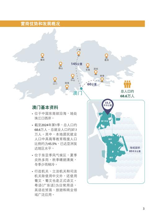 2025年新澳門全年免費(fèi)與新澳門100期歷史走勢(shì)圖全面釋義、解釋與落實(shí)與警惕虛假宣傳