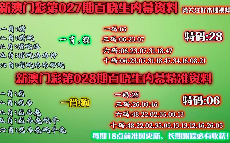 澳門精準(zhǔn)一碼必中期期大全,全面釋義、專家解釋與落實(shí)與警惕虛假宣傳