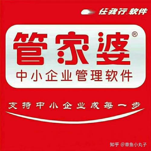 管家婆正版管家,全面釋義、解釋與落實與警惕虛假宣傳