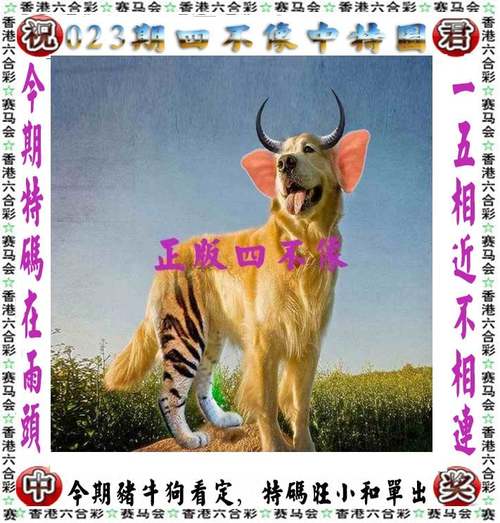 新澳今天最新資料2024年開獎號碼是多少查詢,2025年最新實用信息匯總指南
